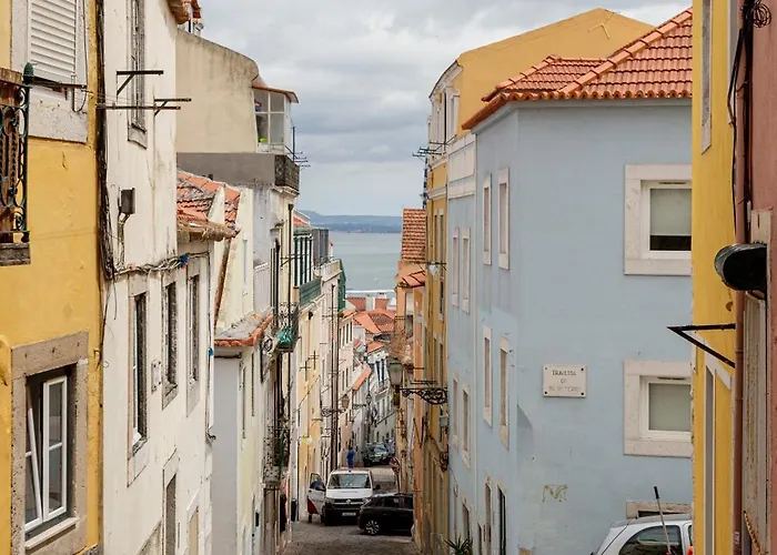 Quiet Bloom - In Estrela Lisboa