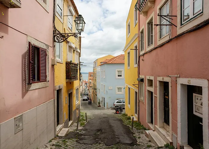 Quiet Bloom - In Estrela *