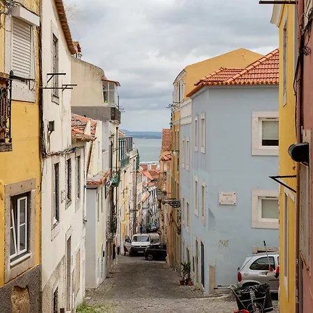 Quiet Bloom - In Estrela Lizbona