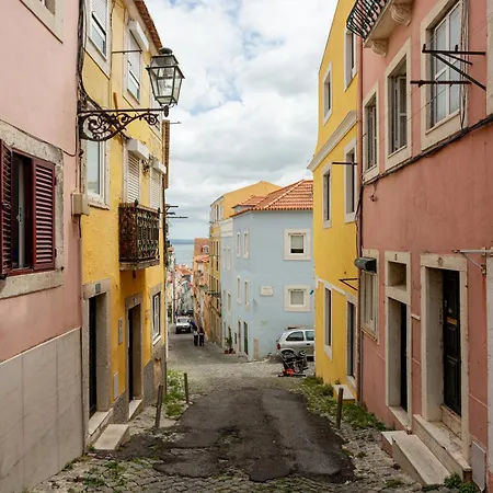 Quiet Bloom - In Estrela *